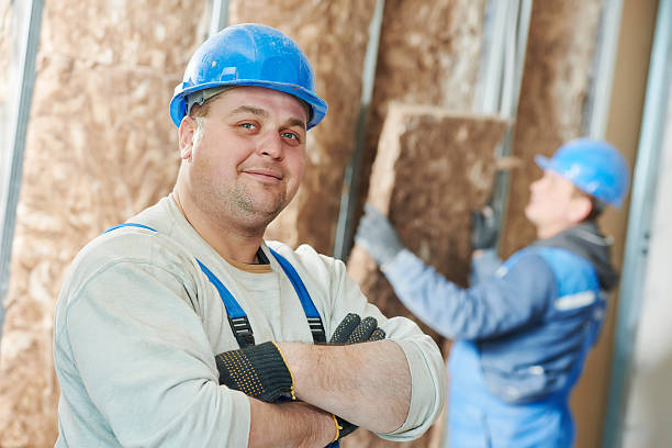 Best Eco-Friendly or Green Insulation Solutions  in South Laurel, MD